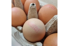 Cage-free eggs.
